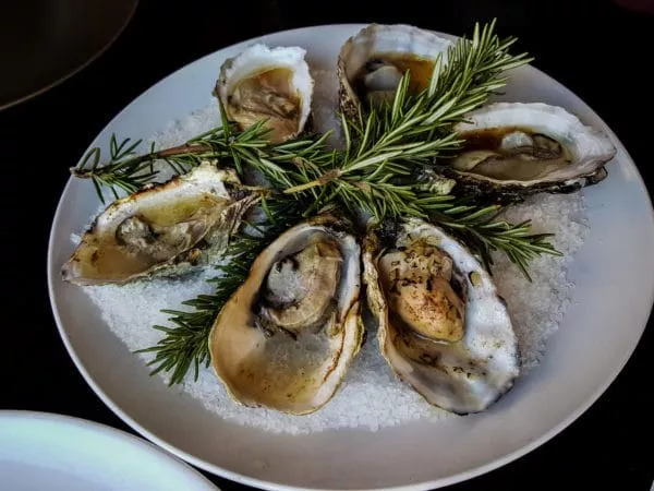 Oysters and rosemary at Malva in Ensenada MX