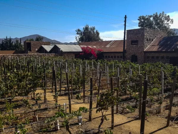 Casa de Piedra vineyard in Valle de Guadalupe