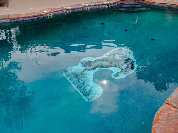 Cowboy in a pool