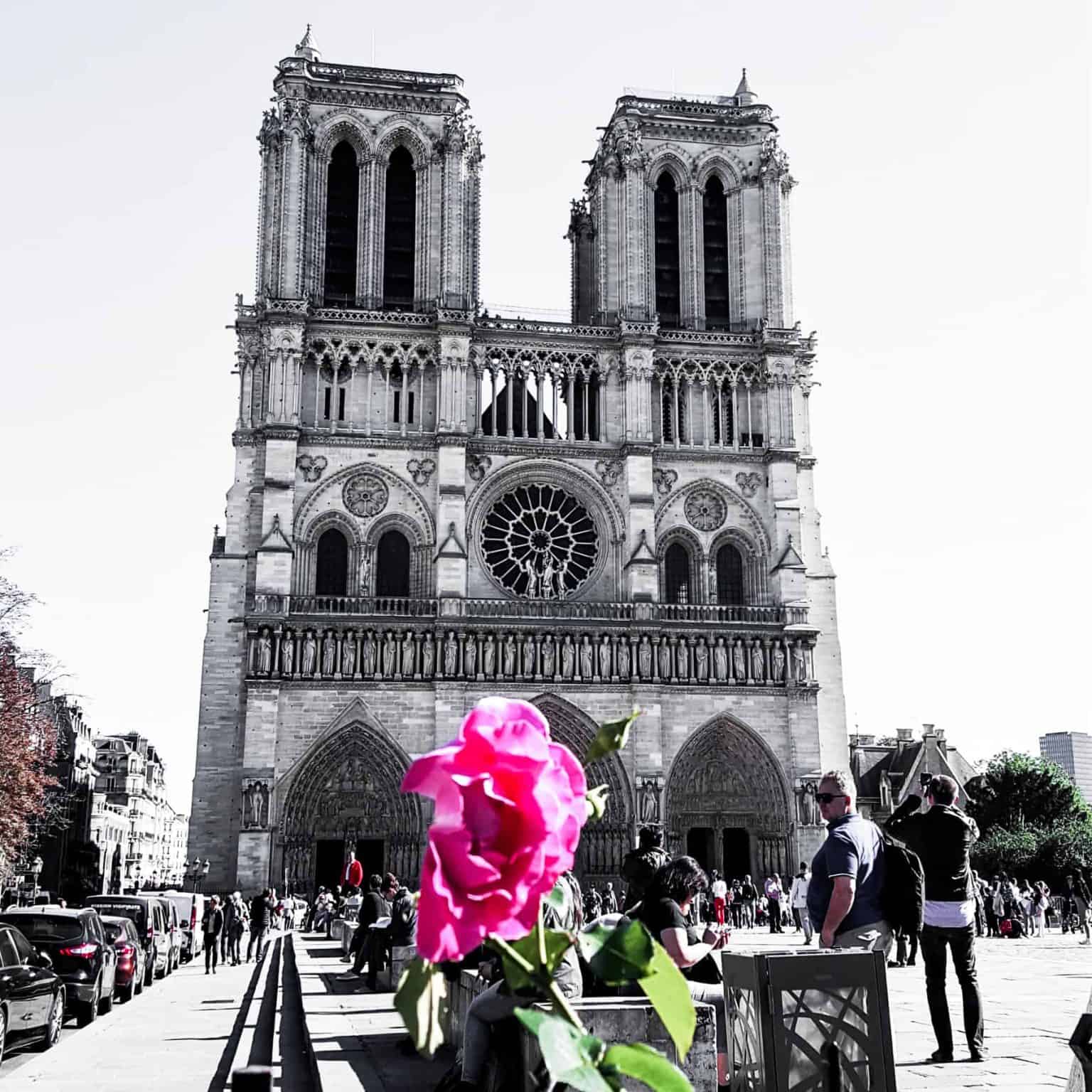 Notre Dame Cathedral