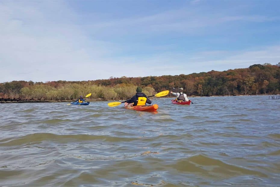 Mallows Bay Kayaking