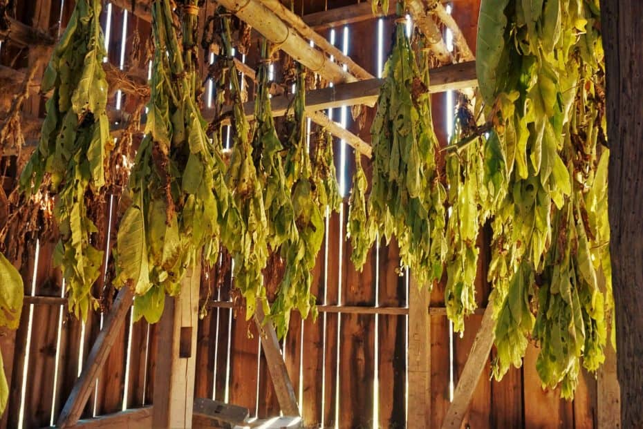 Tobacco Barn