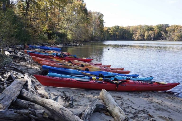 Kayaking Mallows Bay