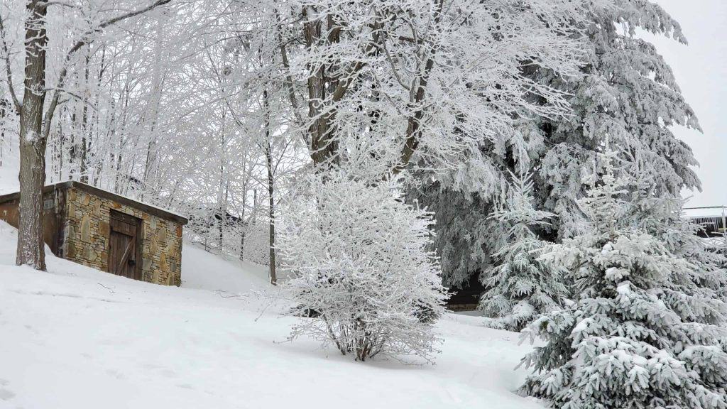 Winter in Laurel Highlands