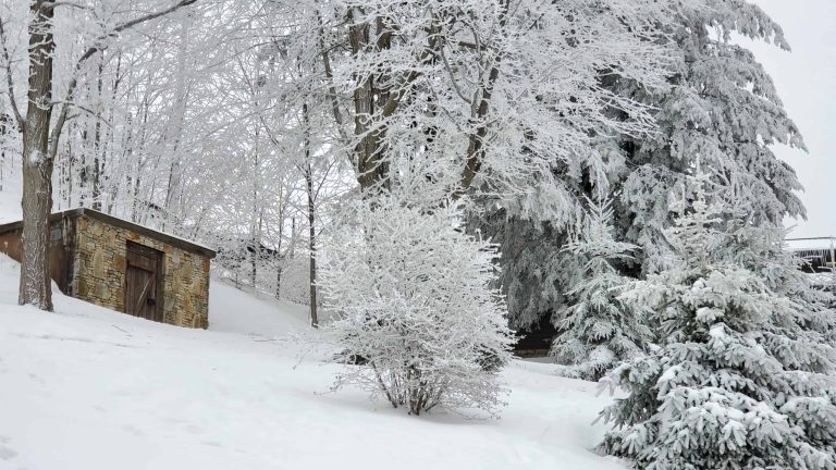 Winter in Laurel Highlands
