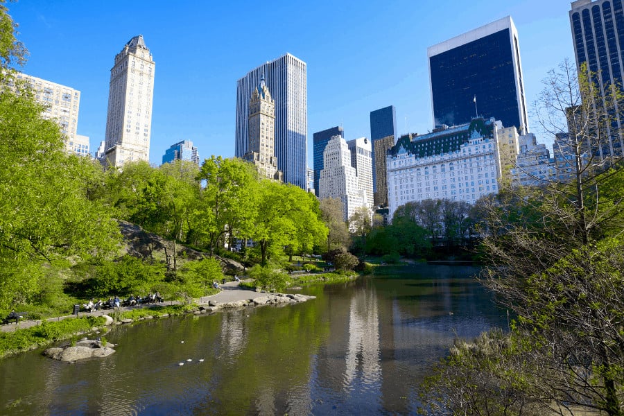 Central Park with New York City highrises in background