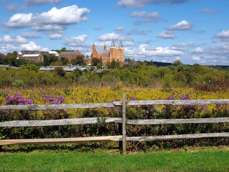 Archabbey Basilica from Winnie Palmer Nature Reserve, Latrobe PA