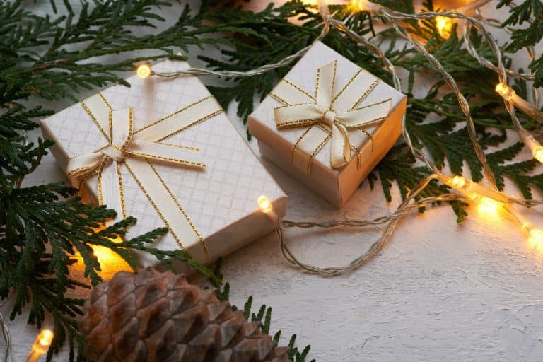 The Ultimate Gift Guide for Adventurous Female Travelers