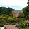 gardens at Mt. Cuba