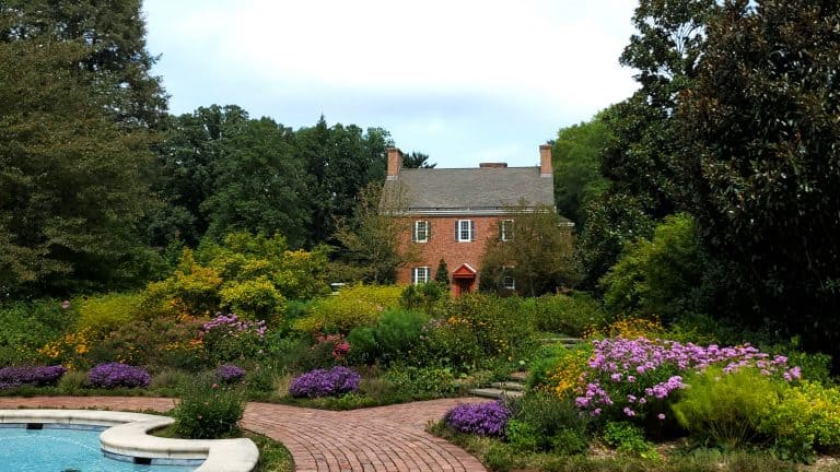 gardens at Mt. Cuba