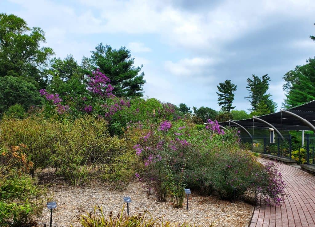 the trial garden at Mt Cuba a Philadelphia area garden and estate