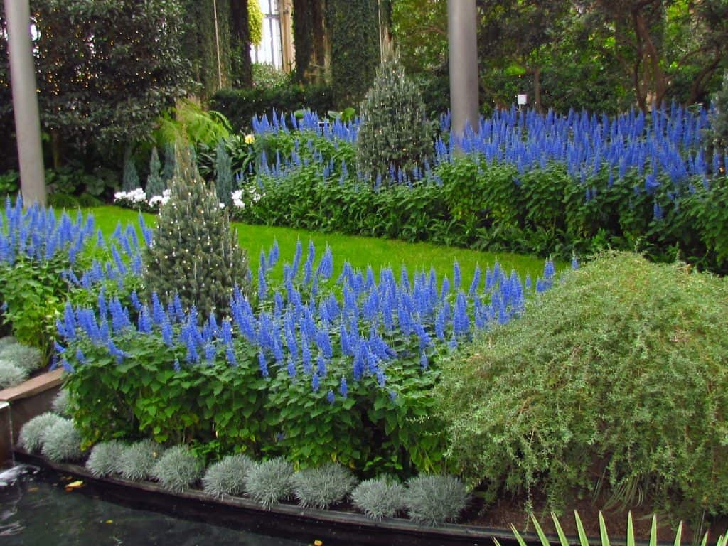 The conservatory at Longwood Gardens a PHL area garden