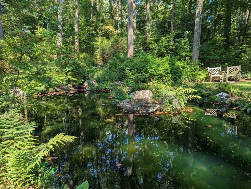 pond hide-away garden at Mt. Cuba a Philadelphia area garden