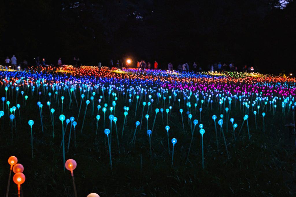 night lights exhibit at Longwood Gardens in Kennett Square near Philadelphia