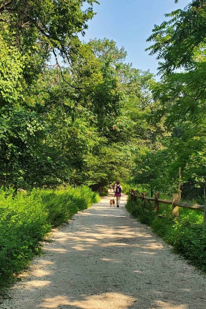 Hiker and her dog on a trail at Great Falls National Park
