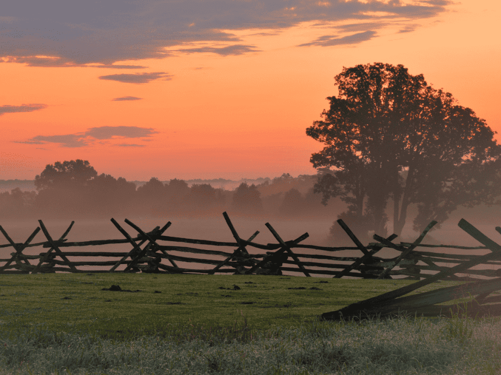 Mannass Battlefield