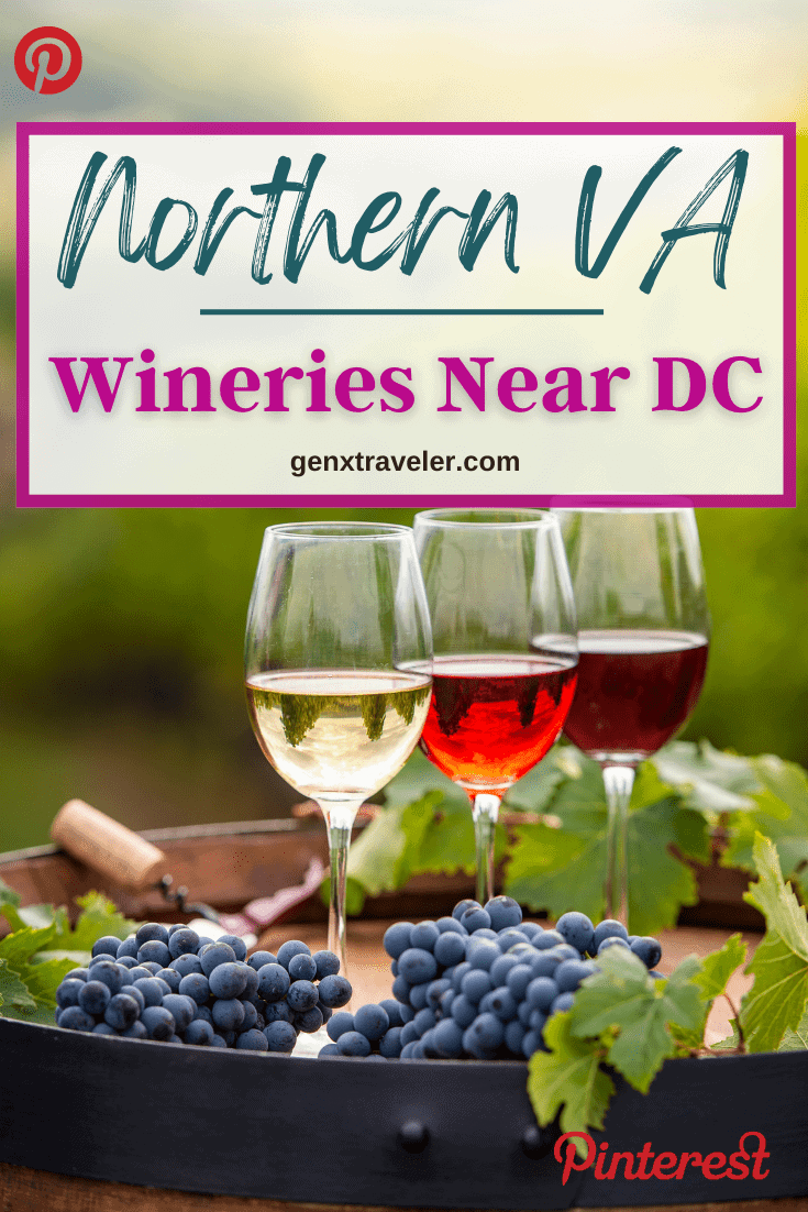 Northern VA Wineries Pin