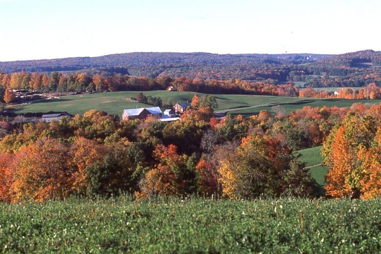 Things to Do in Happy Valley, PA That Will Make You Want to Visit Now
