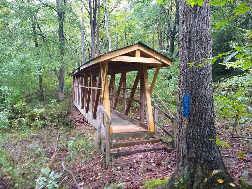 Terrace Mountain Trail near Raystown Lake, Huntingdon PA