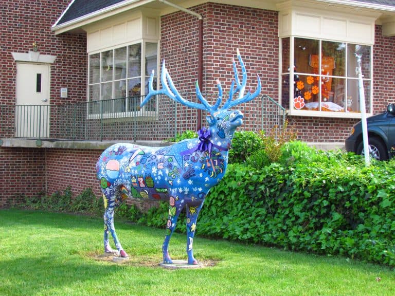Elkton Painted Elk