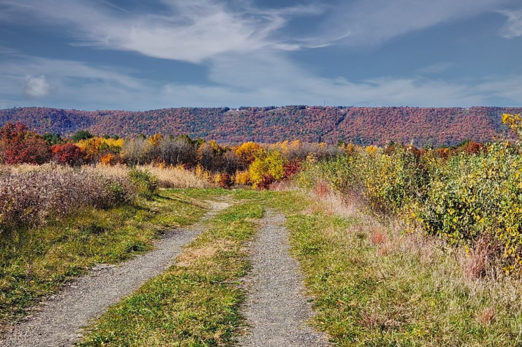 Spring Canyon Trail