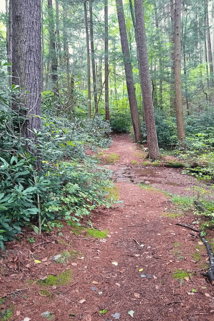 Standing Stone Trail, Alan Seeger Natural Area