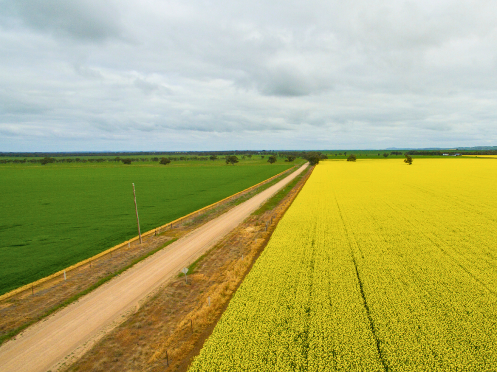 field