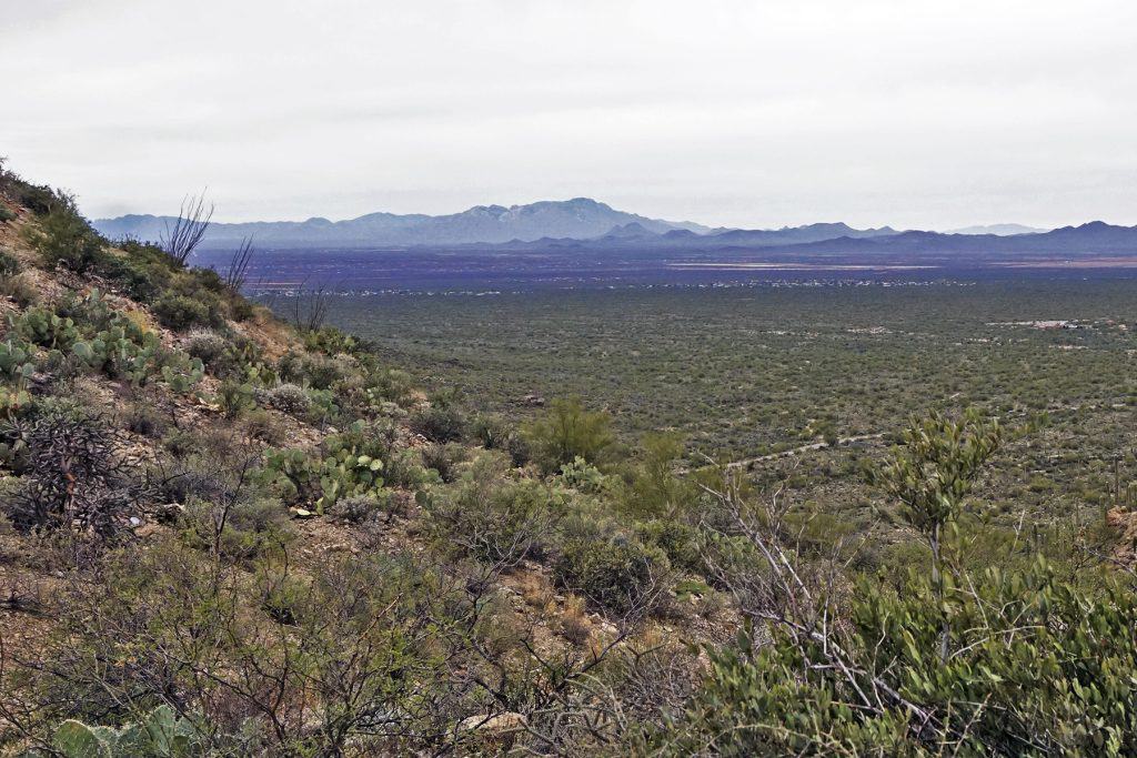 National Parks of Saguaro East and West
