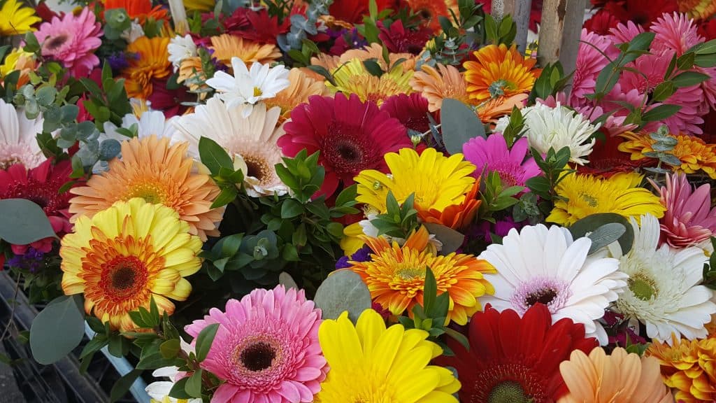 Mercato San Diego Flower bunches