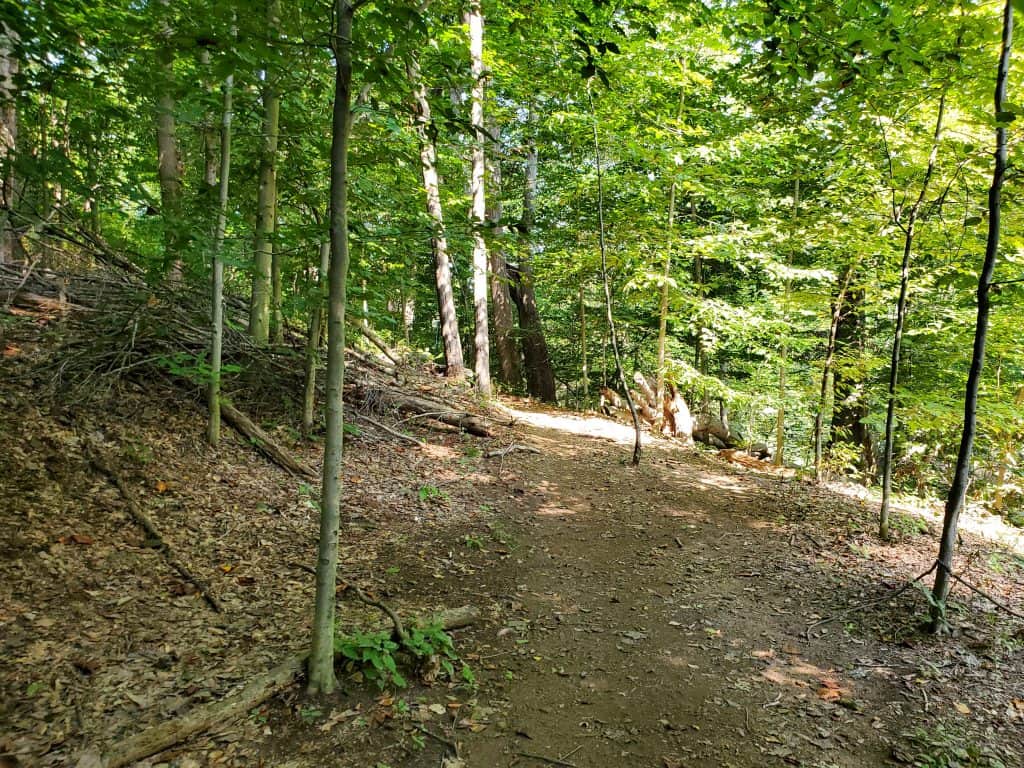 Trail at Brandywine Creek State Park