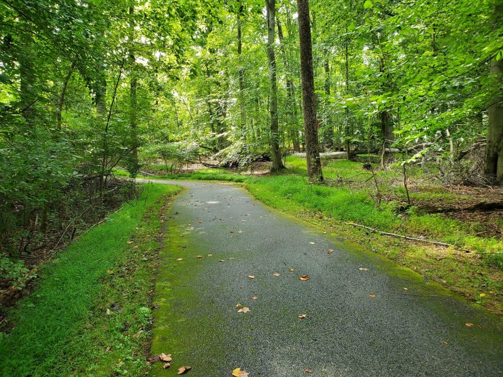 Northern Delaware Greenway Trail though Alapocas Run State Park