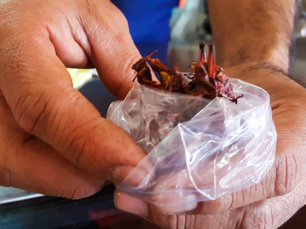 crickets for consumption at the Mercado Hildago