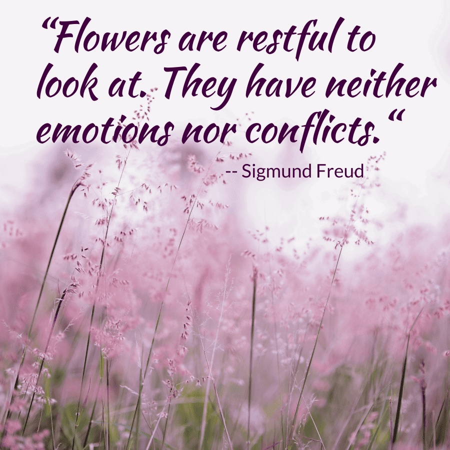 Sigmund Freud quote on flowers