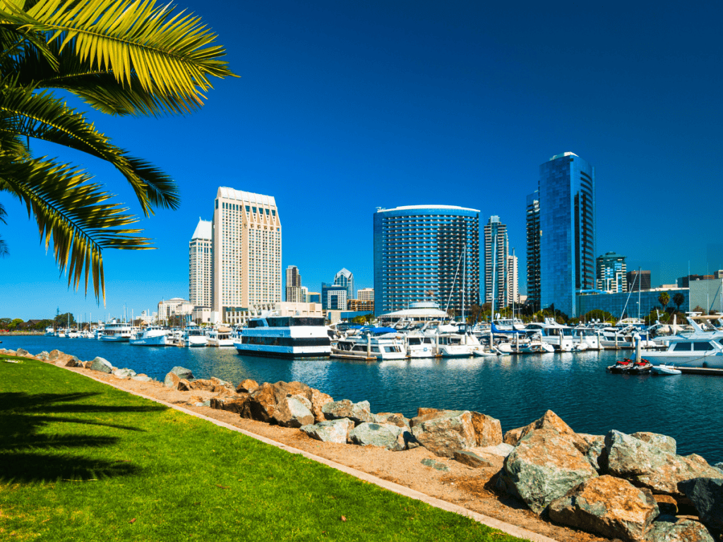 San Diego from the Harbor
