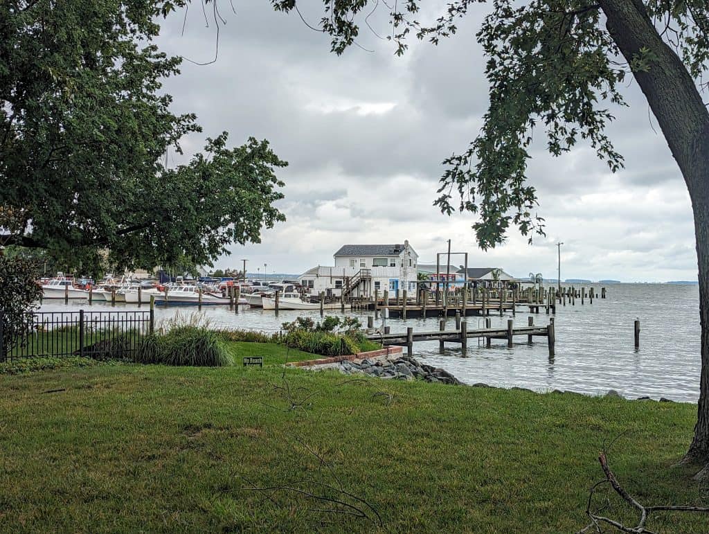 Marina and boathouses on the water in Oxford, MD