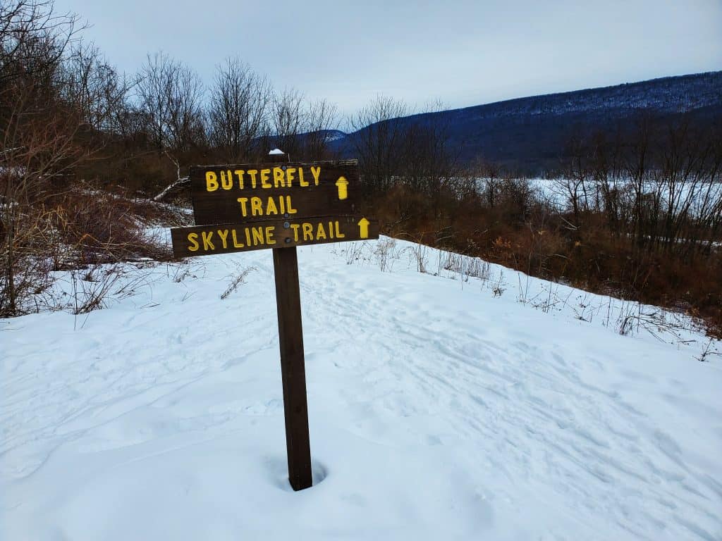 Bald Eagle State Forest Trail Marker in winter