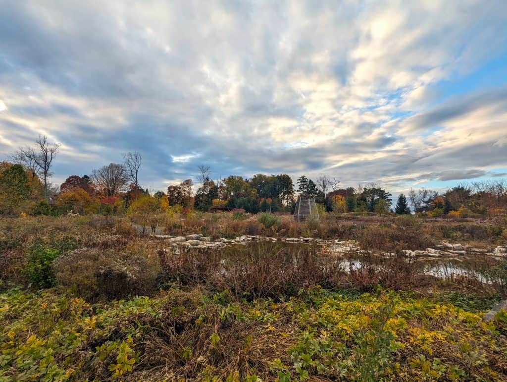 Pollinator and Bird Garden at the Penn State University Arboretum