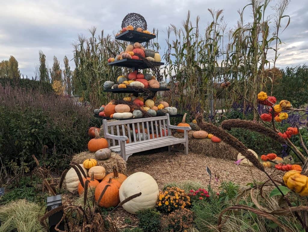 Penn State Arboretum decorated for fall