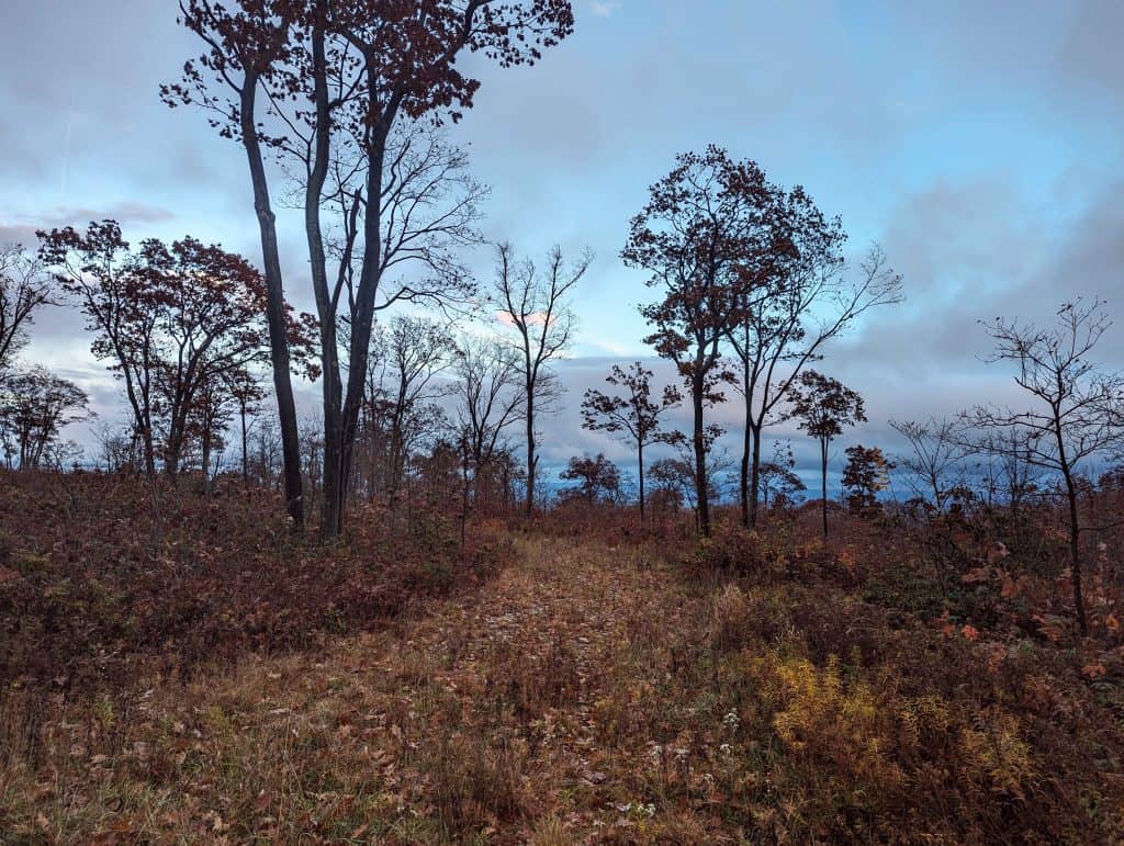 Black Moshannon State Park