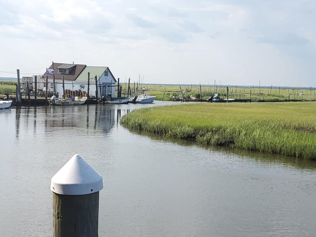 View of Oyster Creek from the dock at the Oyster Creek Inn