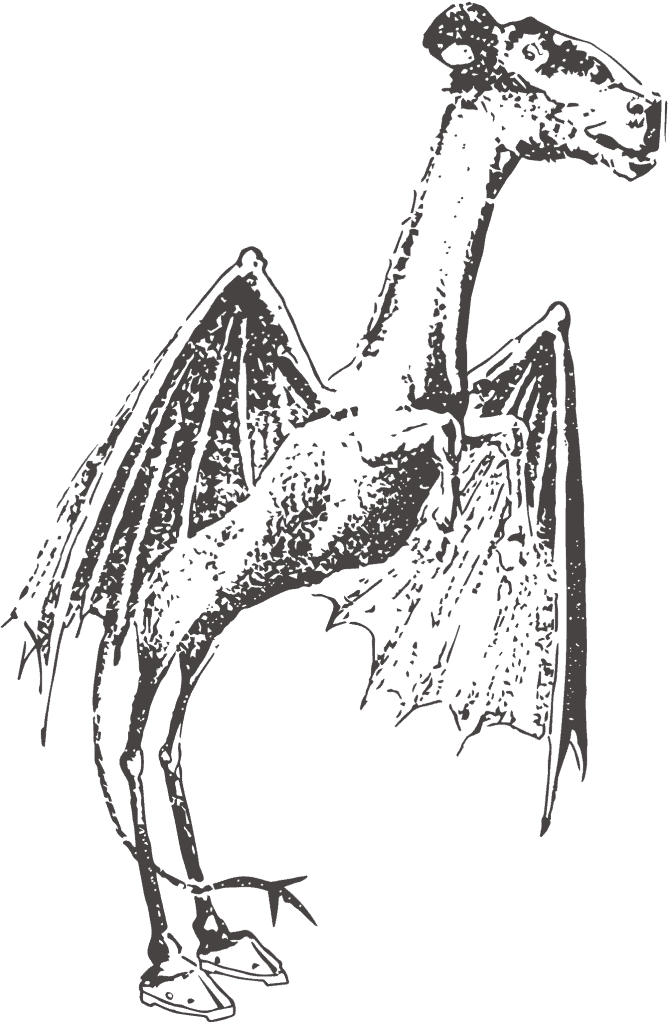 Drawing of the Jersey Devil