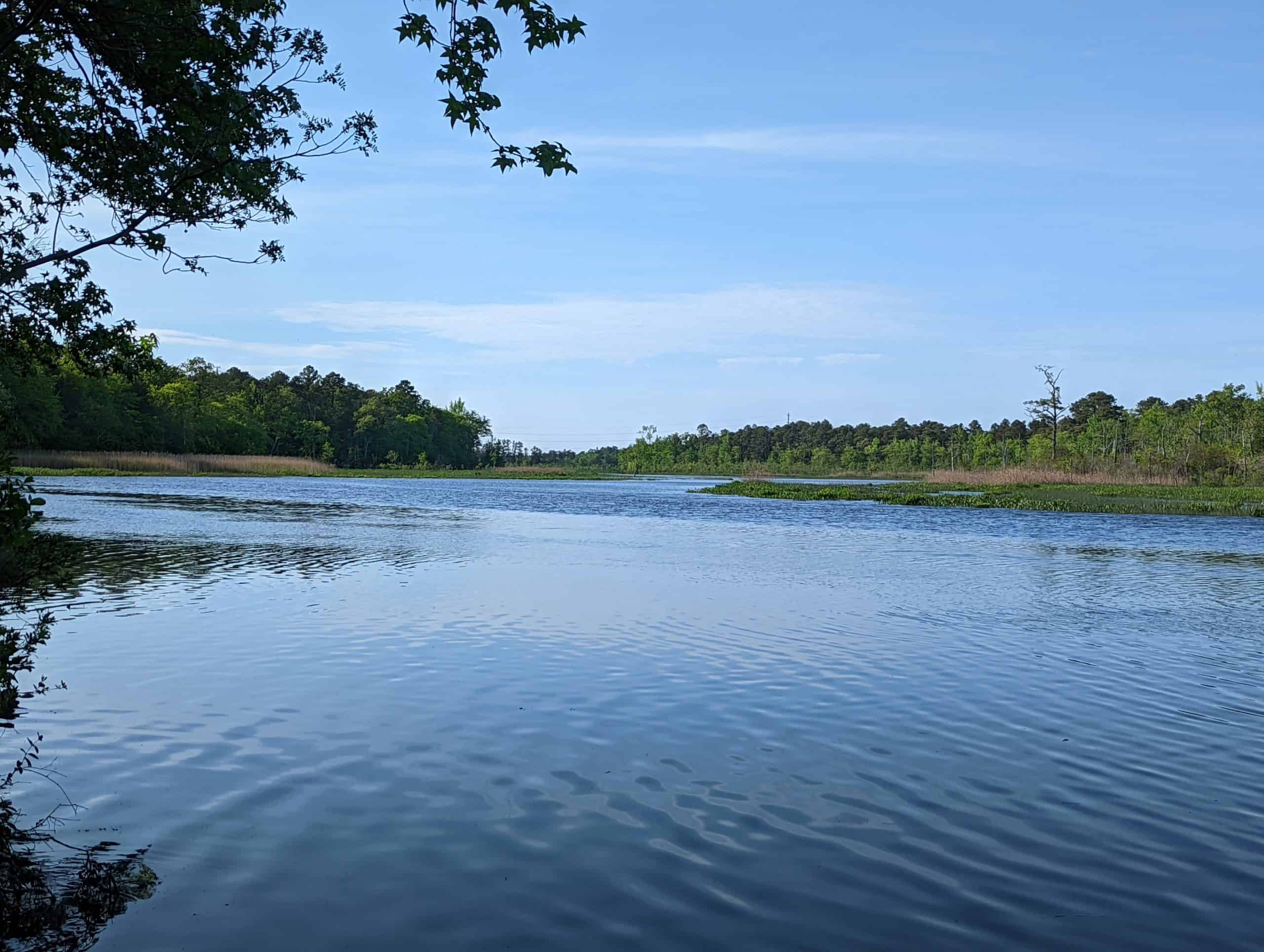 Great Egg Harbor River at Estell Manor