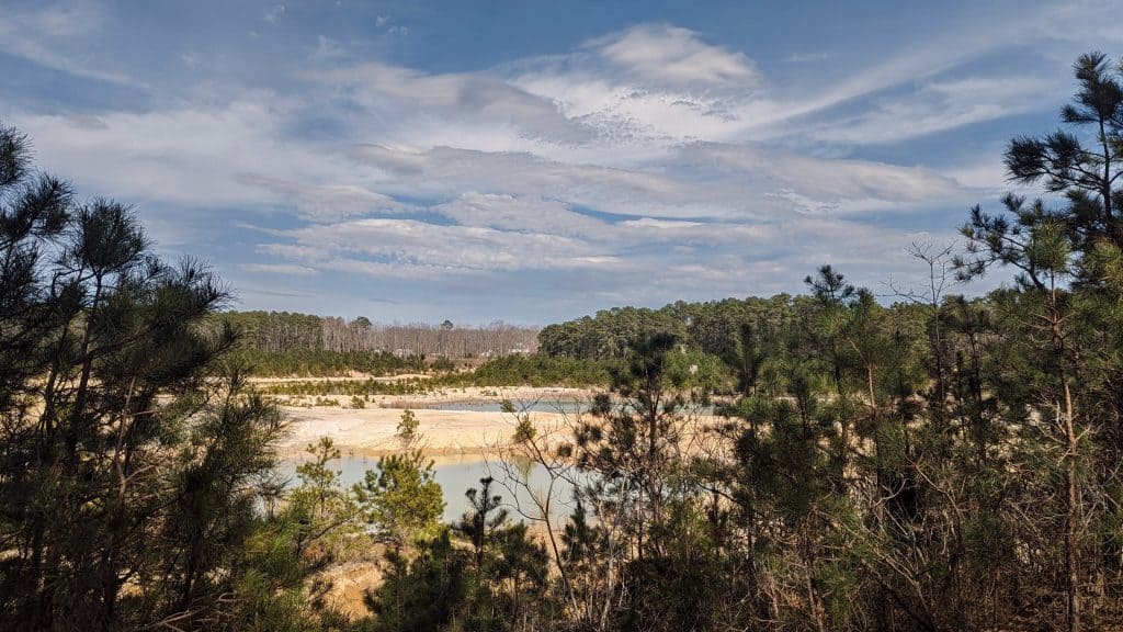 Pine Barren landscape