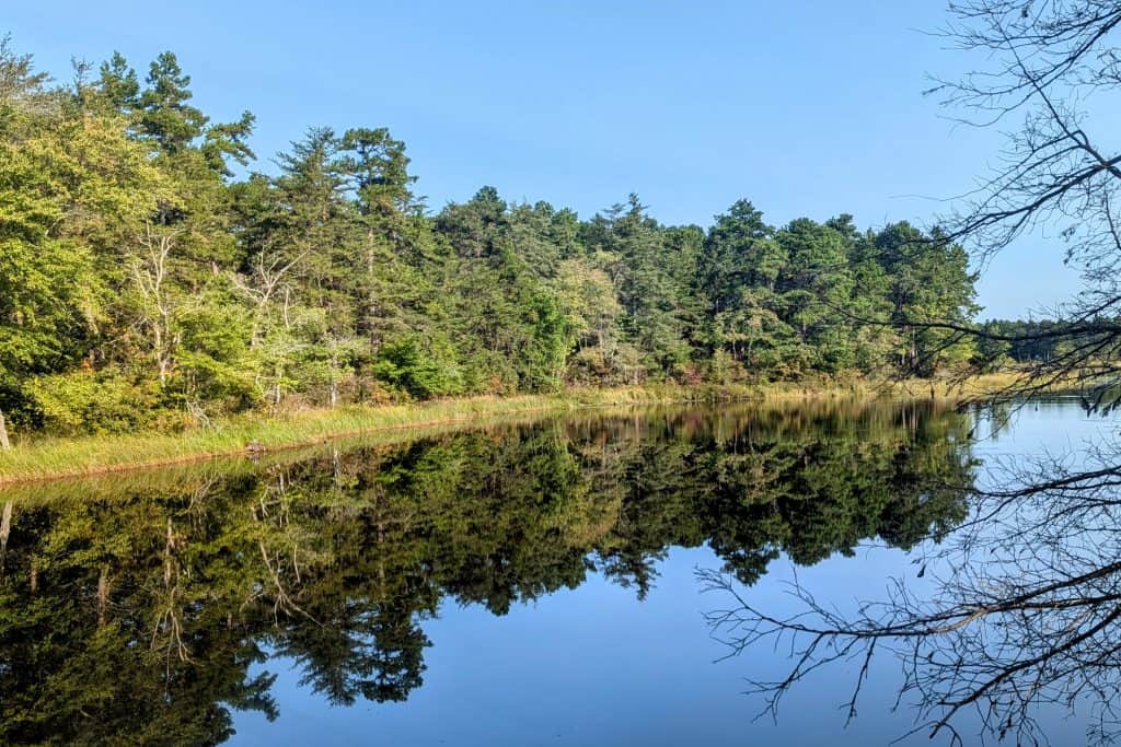 Lake near Chatsworth and Franklin Parker Preserve