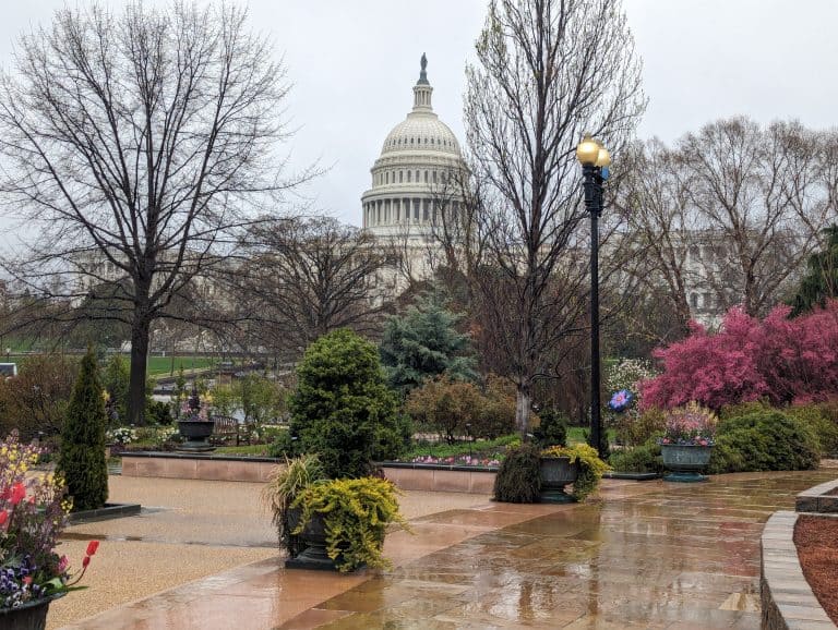 Beyond Cherry Blossoms: The Best Gardens near Washington DC to Visit in Spring