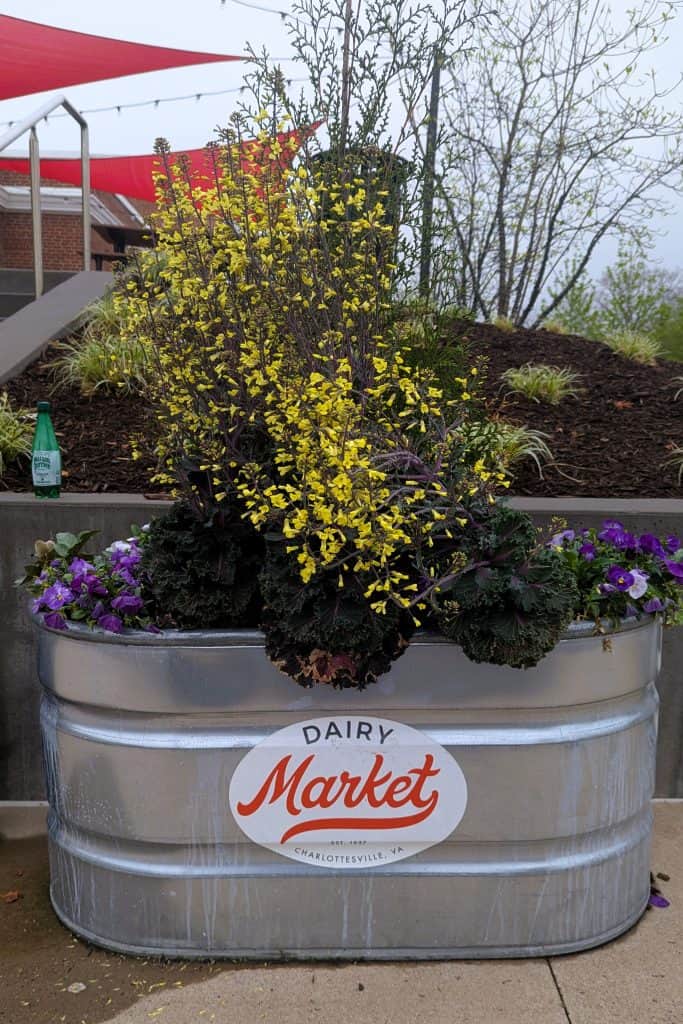 A large metal planter with the Dairy Market logo filled with flowers.
