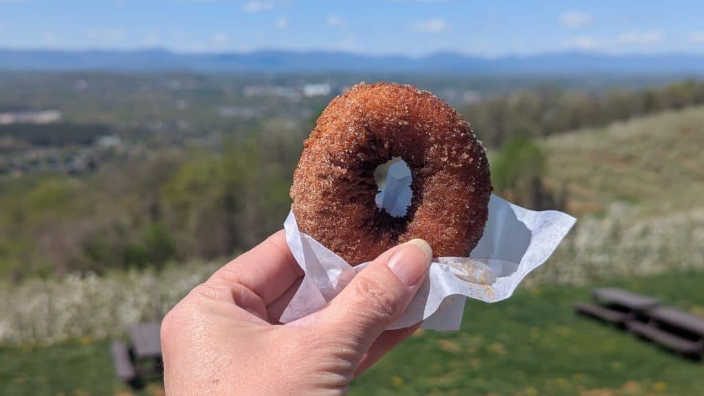 A hand holding an apple cider donut with the Blue Ridge Mountains in the background.